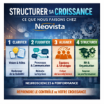 Schéma des 4 piliers pour structurer la croissance d’une entreprise : clarifier, fluidifier, aligner et structurer durablement selon la méthode Néovista
